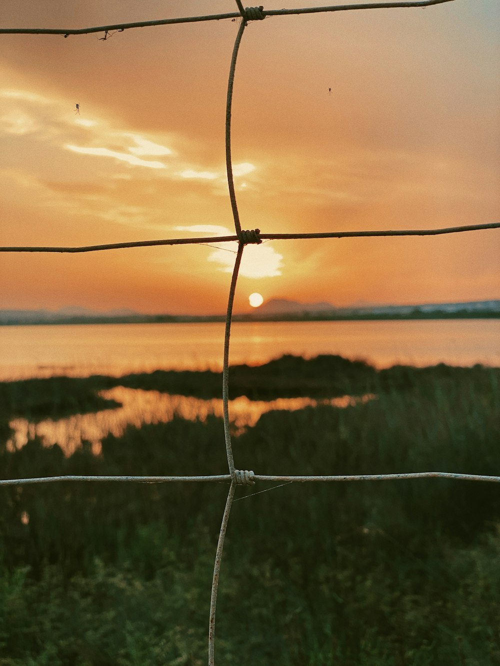 white barbwire fence near green grass field during sunset
