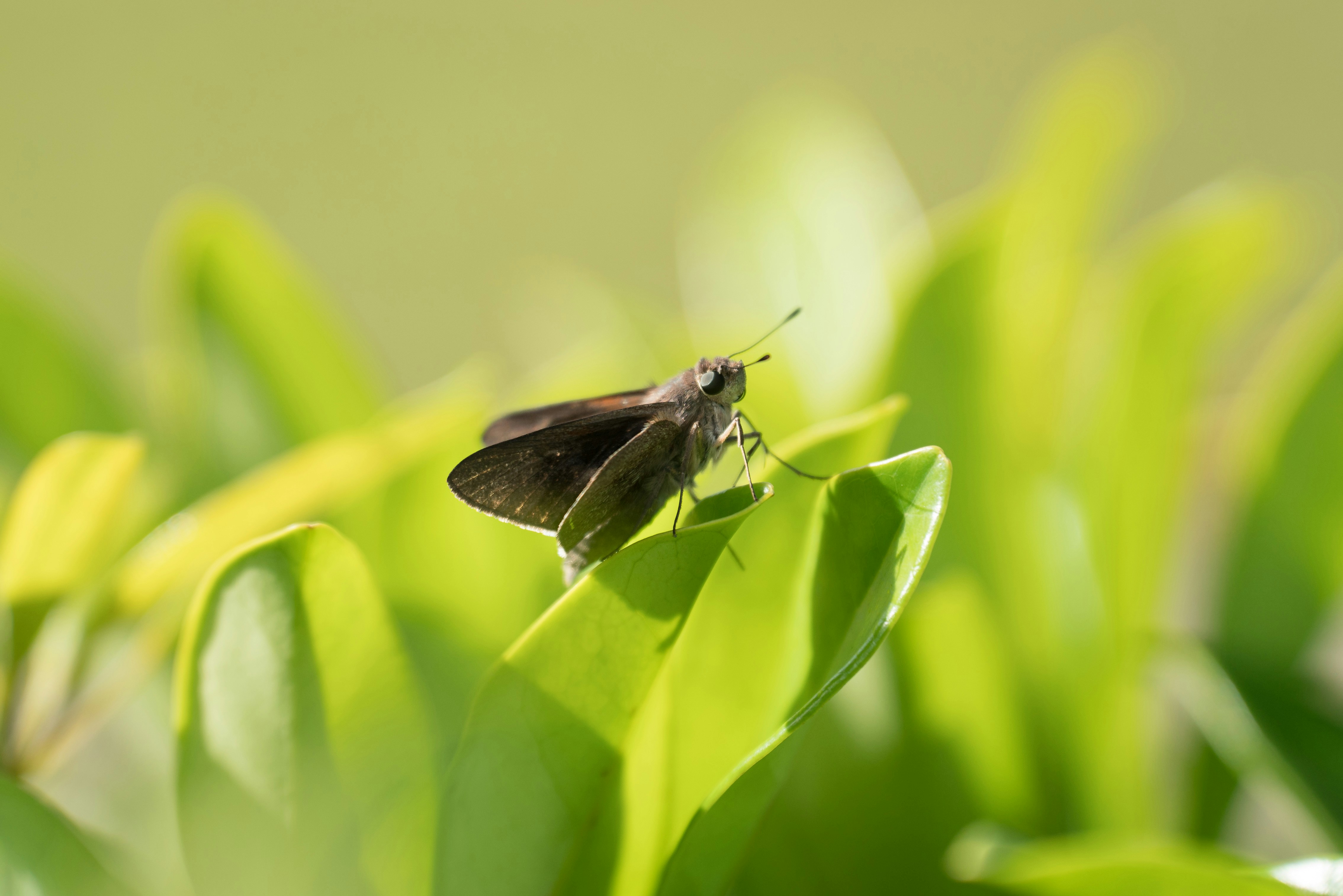 Photo by karographix