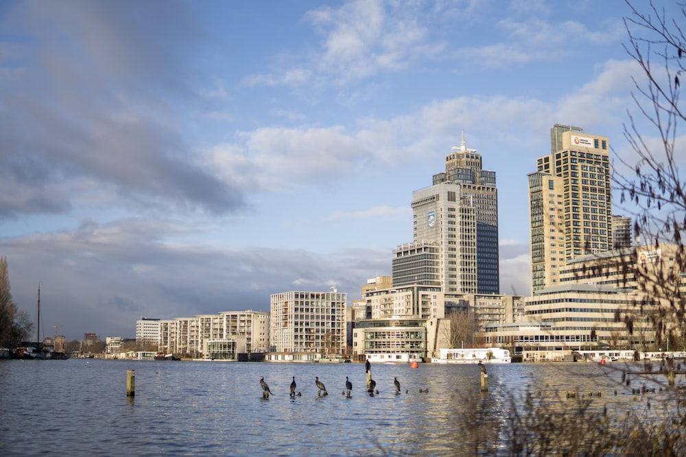 people on beach near high rise buildings during daytime