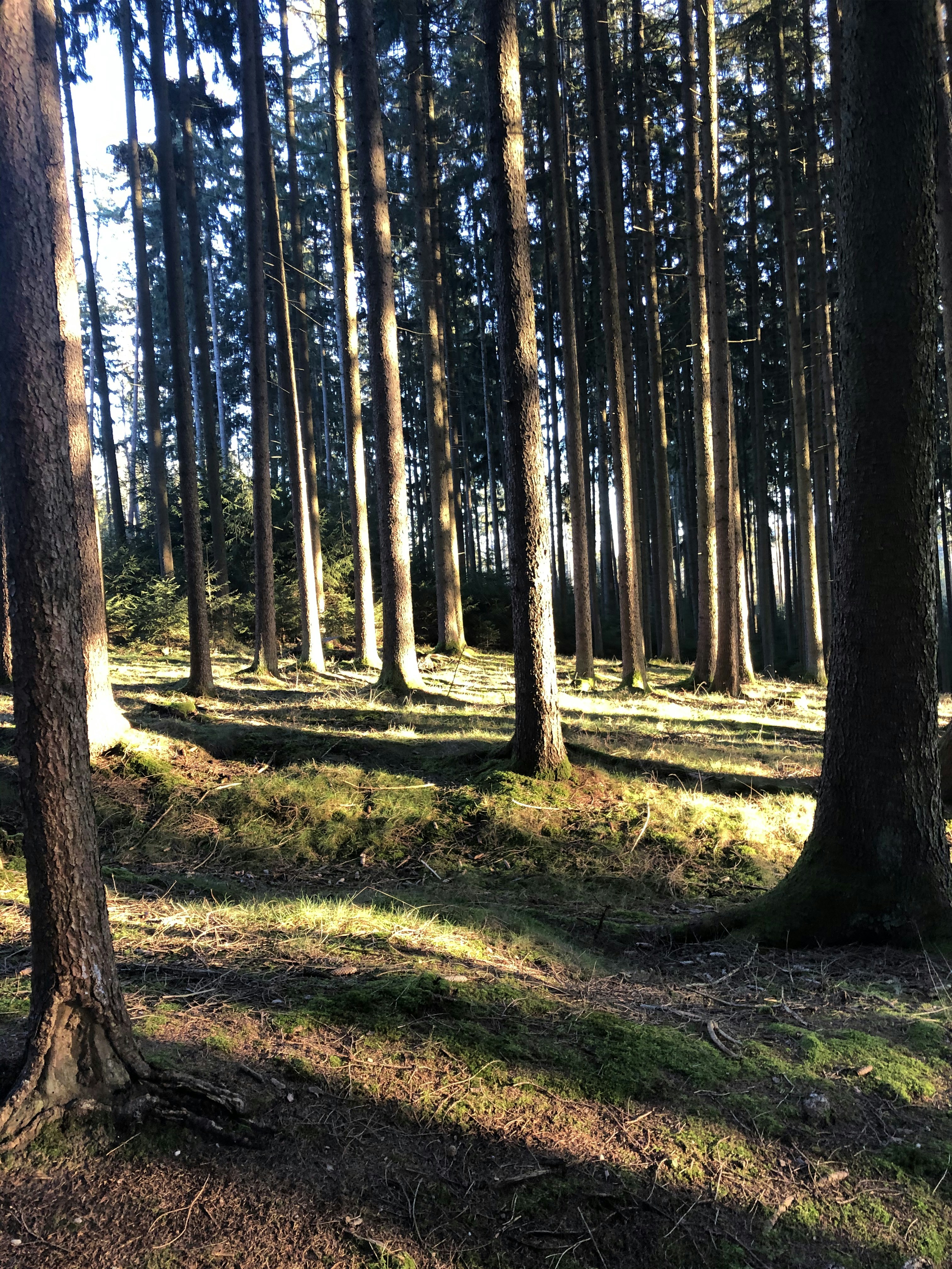 Photo by hauffejulian