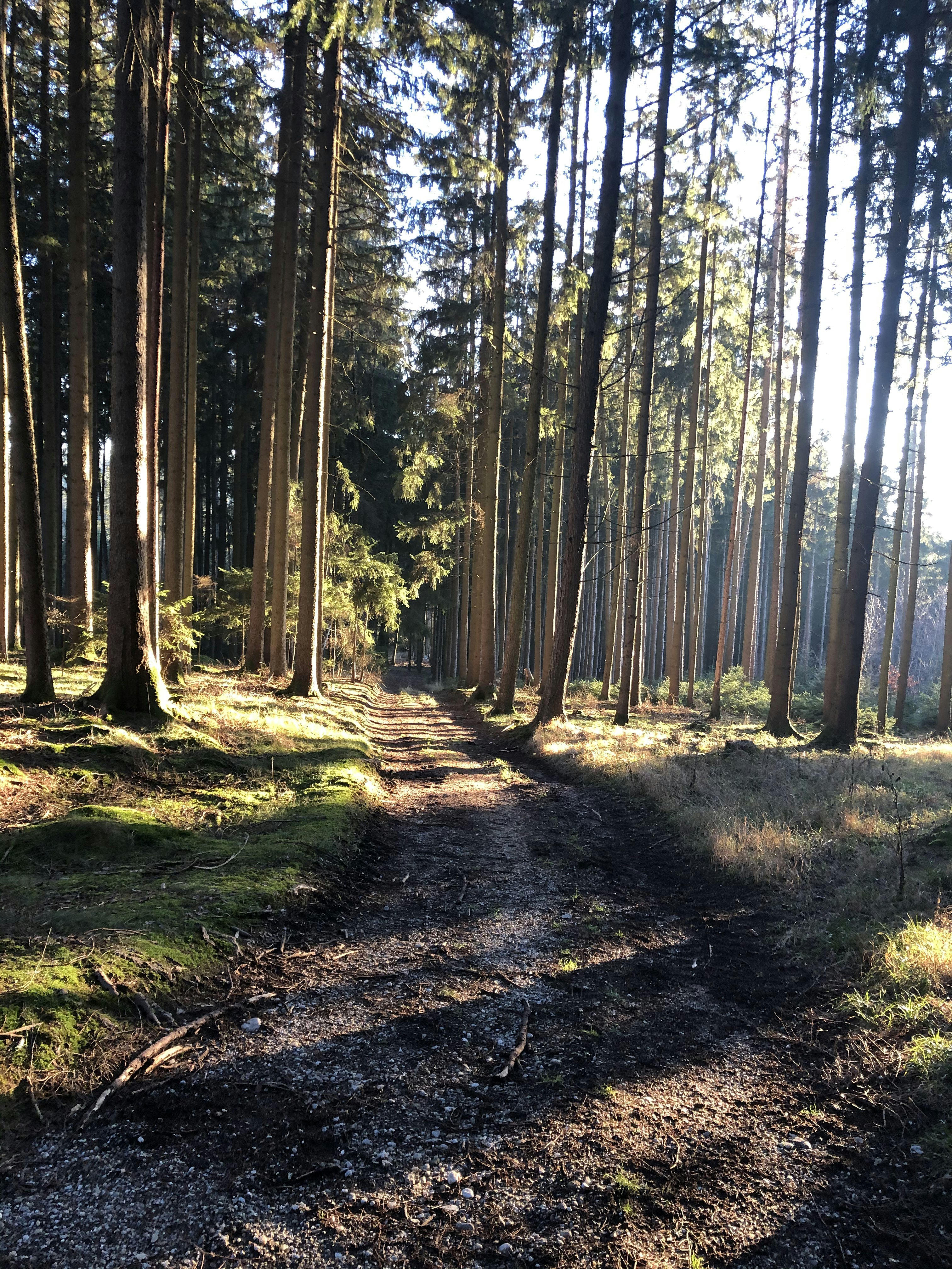 Photo by hauffejulian