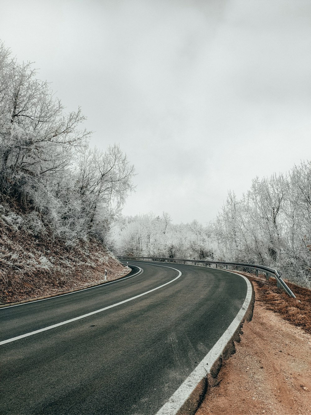 gray asphalt road between bare trees under white sky during daytime