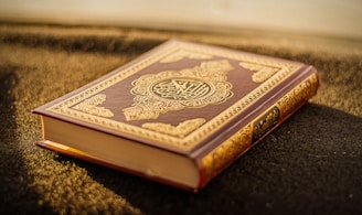 brown and black hardbound book