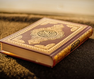 brown and black hardbound book