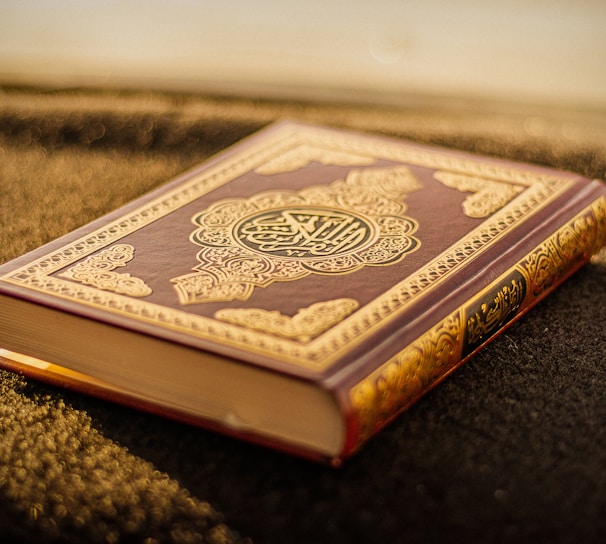 brown and black hardbound book