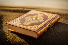 brown and black hardbound book