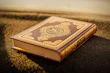 Elegant layout of the paperback book resting on a light sage fabric with restrained gold borders visible.