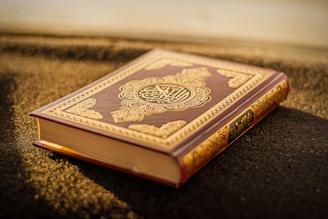 brown and black hardbound Quran book for reading and reflecting.