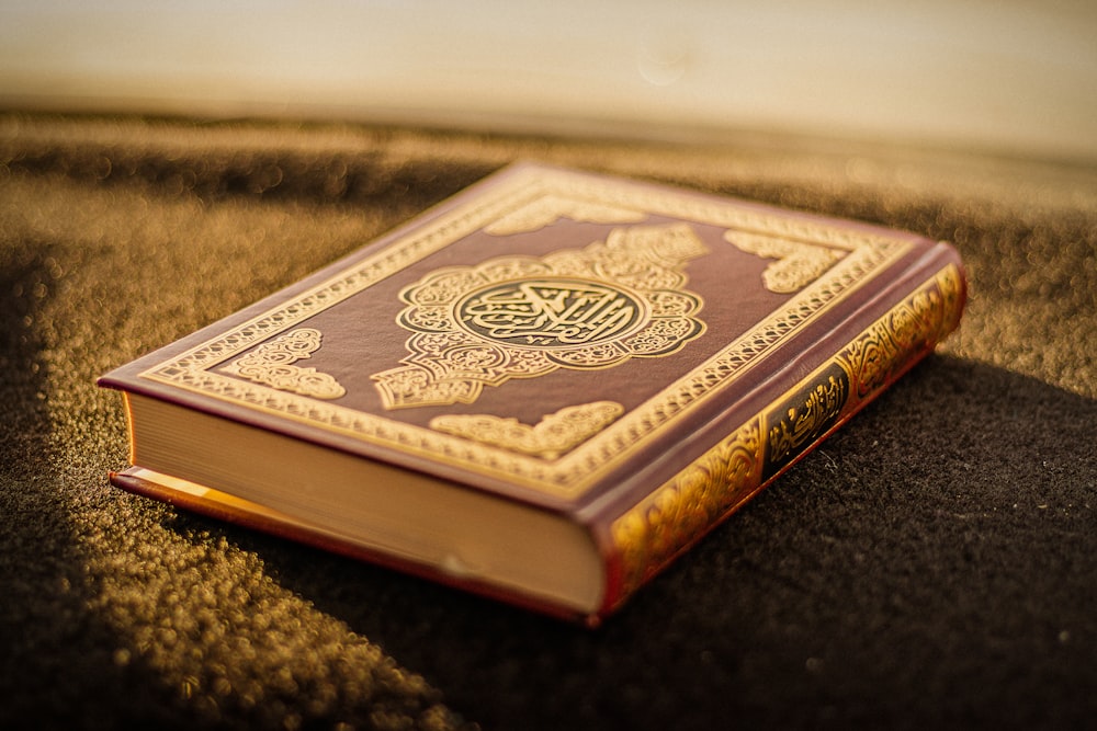 brown and black hardbound book