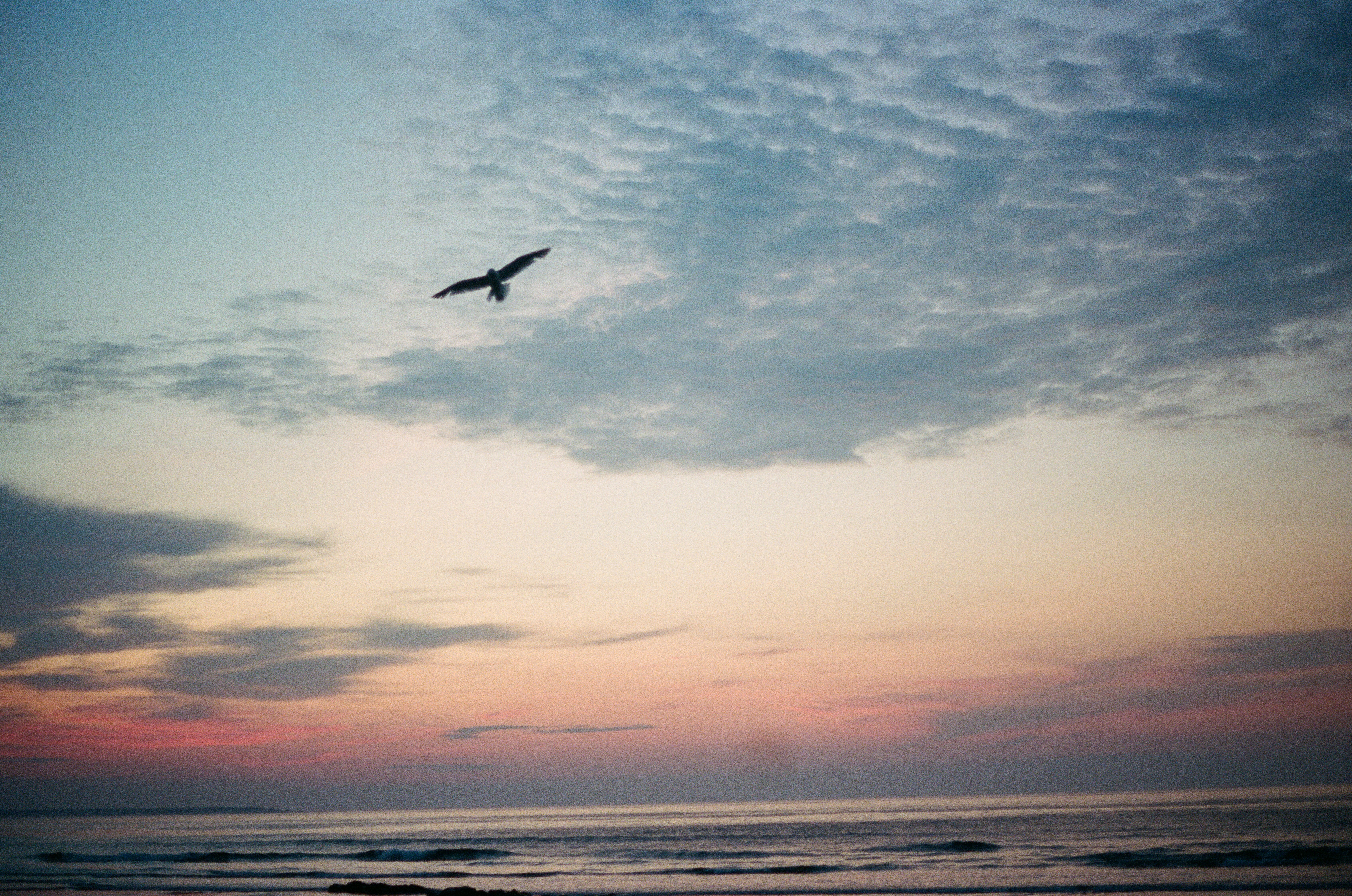 Photo by kdelpdp