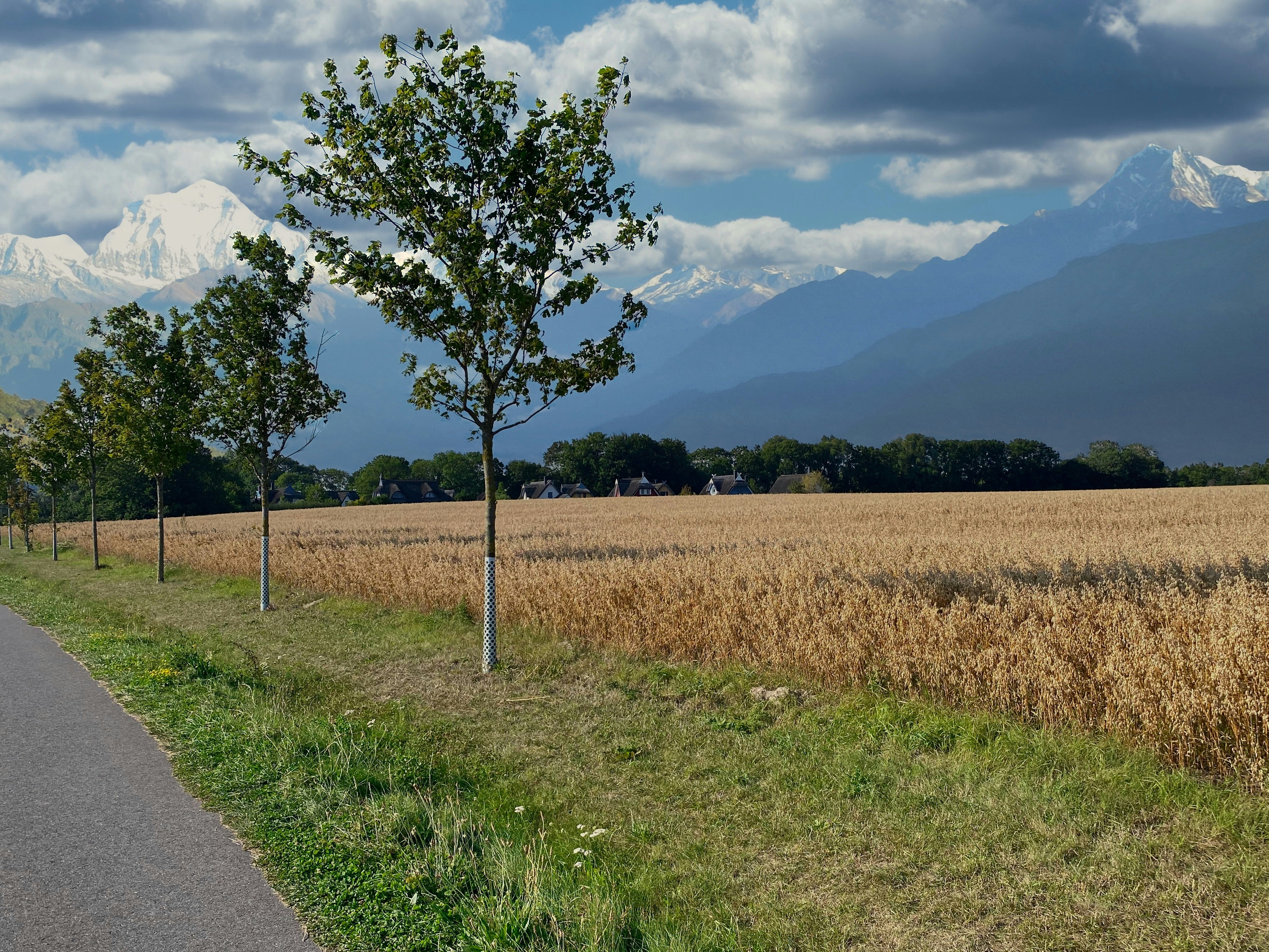 green grass field near road under white clouds during daytime