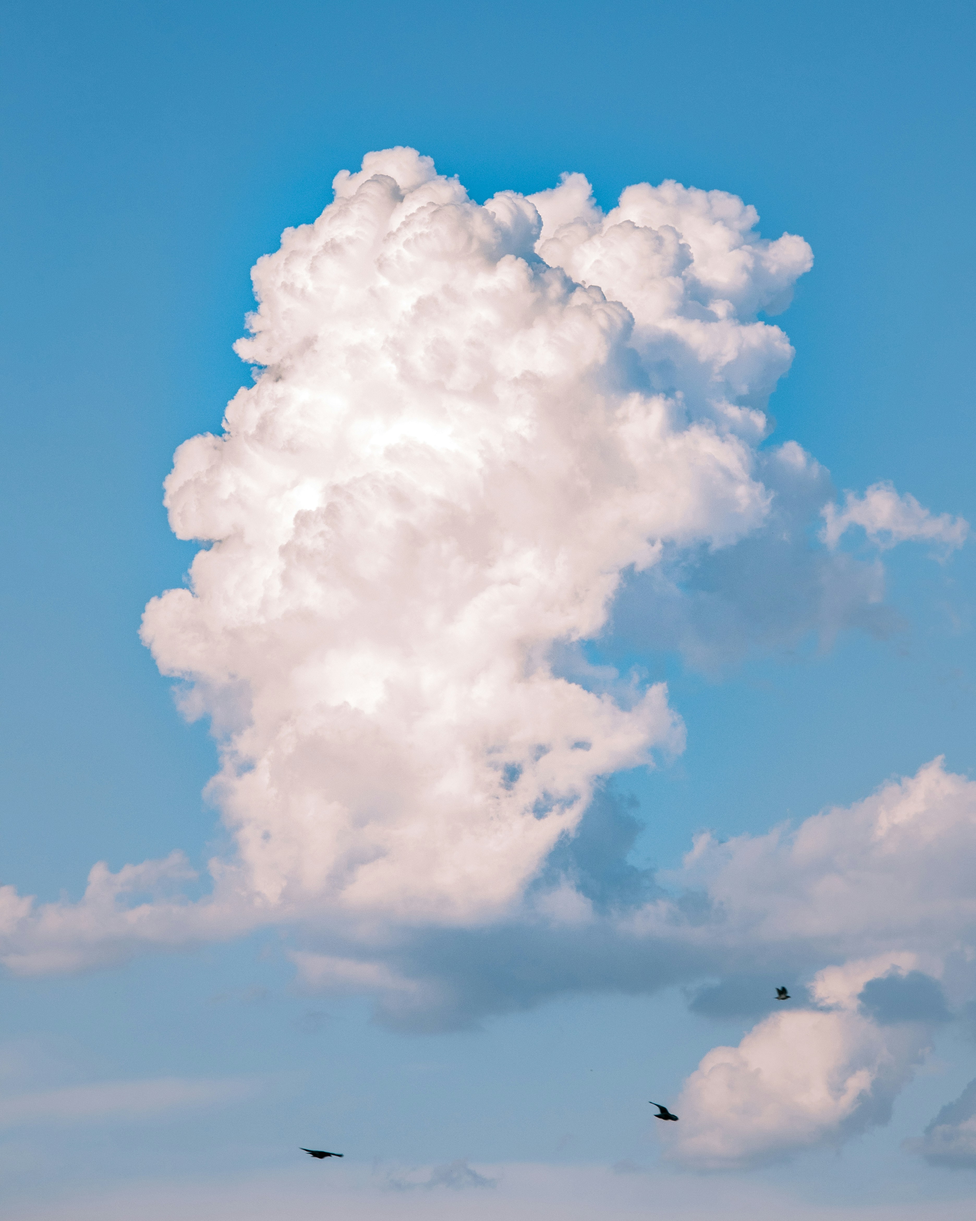 Photo by nature_of_the_experiment