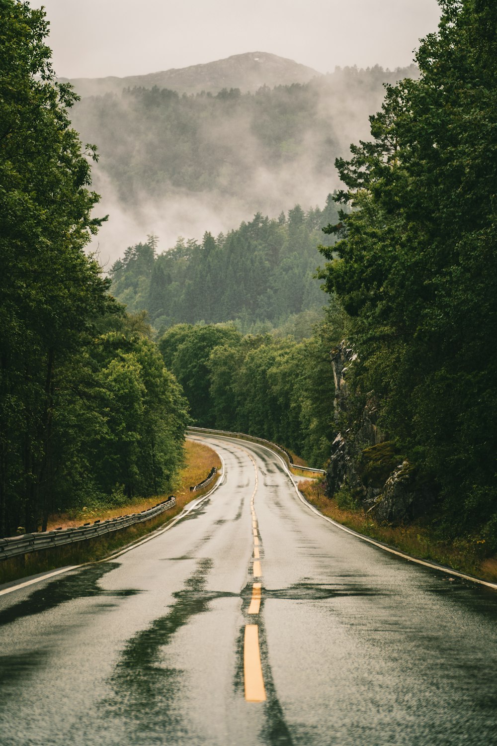 gray concrete road between green trees under gray sky