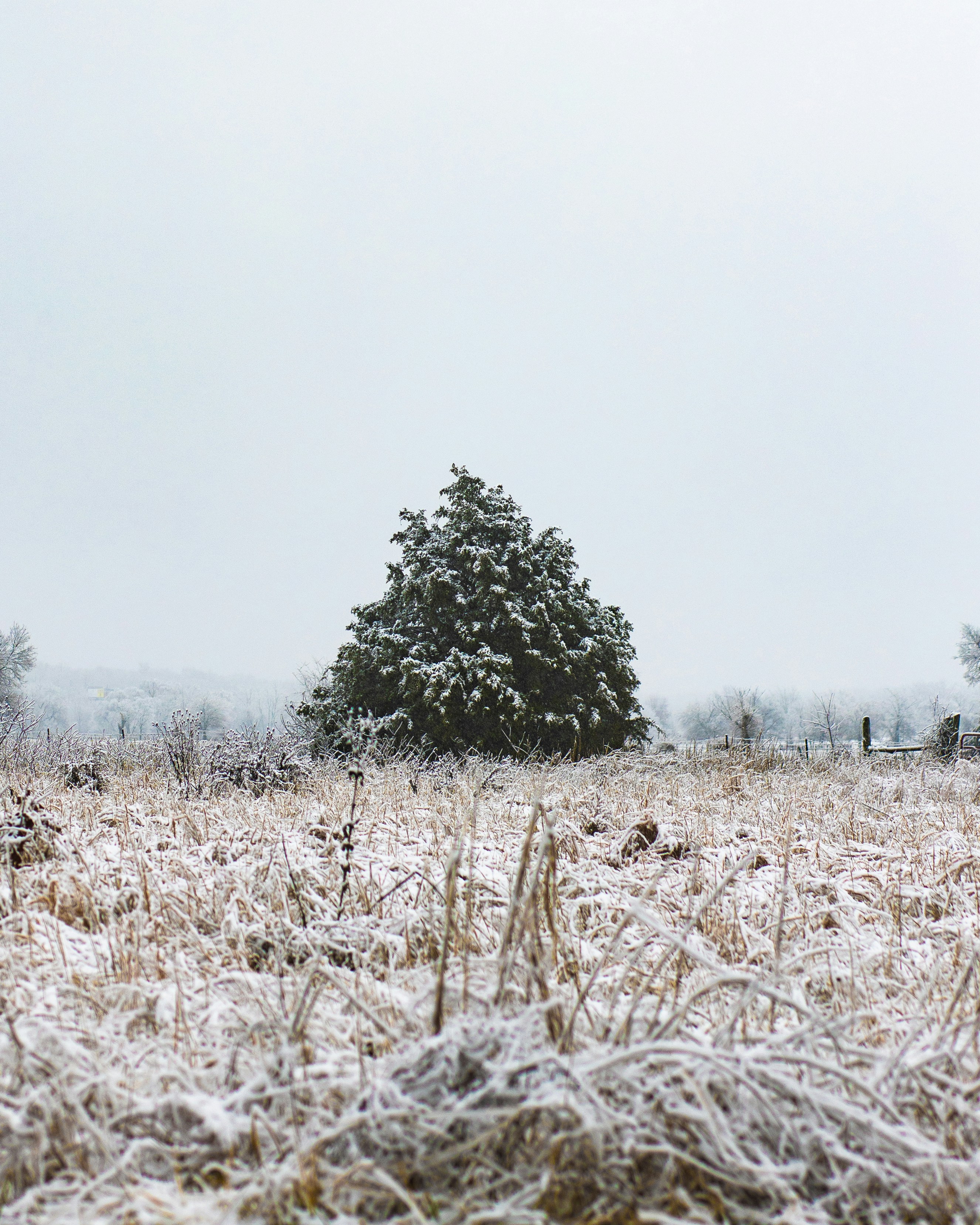 Photo by derekliving