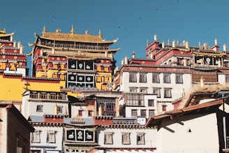 A complex of elaborate, multi-tiered buildings with golden roofs and intricate designs. The structures feature a mix of yellow, red, and white colors with black and gold details. The architecture reflects traditional Tibetan style, with ornate decorations and symbols adorning the façades.