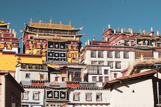 A complex of elaborate, multi-tiered buildings with golden roofs and intricate designs. The structures feature a mix of yellow, red, and white colors with black and gold details. The architecture reflects traditional Tibetan style, with ornate decorations and symbols adorning the façades.
