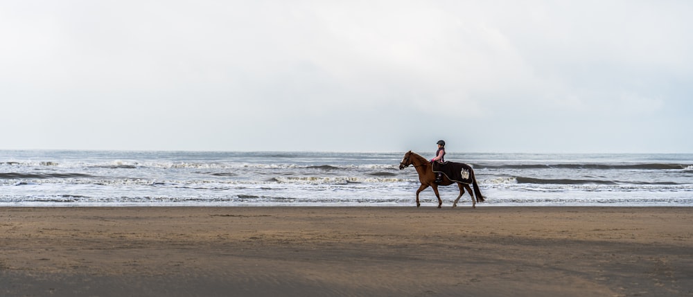 2 brown horses running on beach during daytime