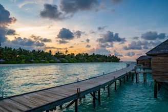 brown wooden dock on body of water during daytime