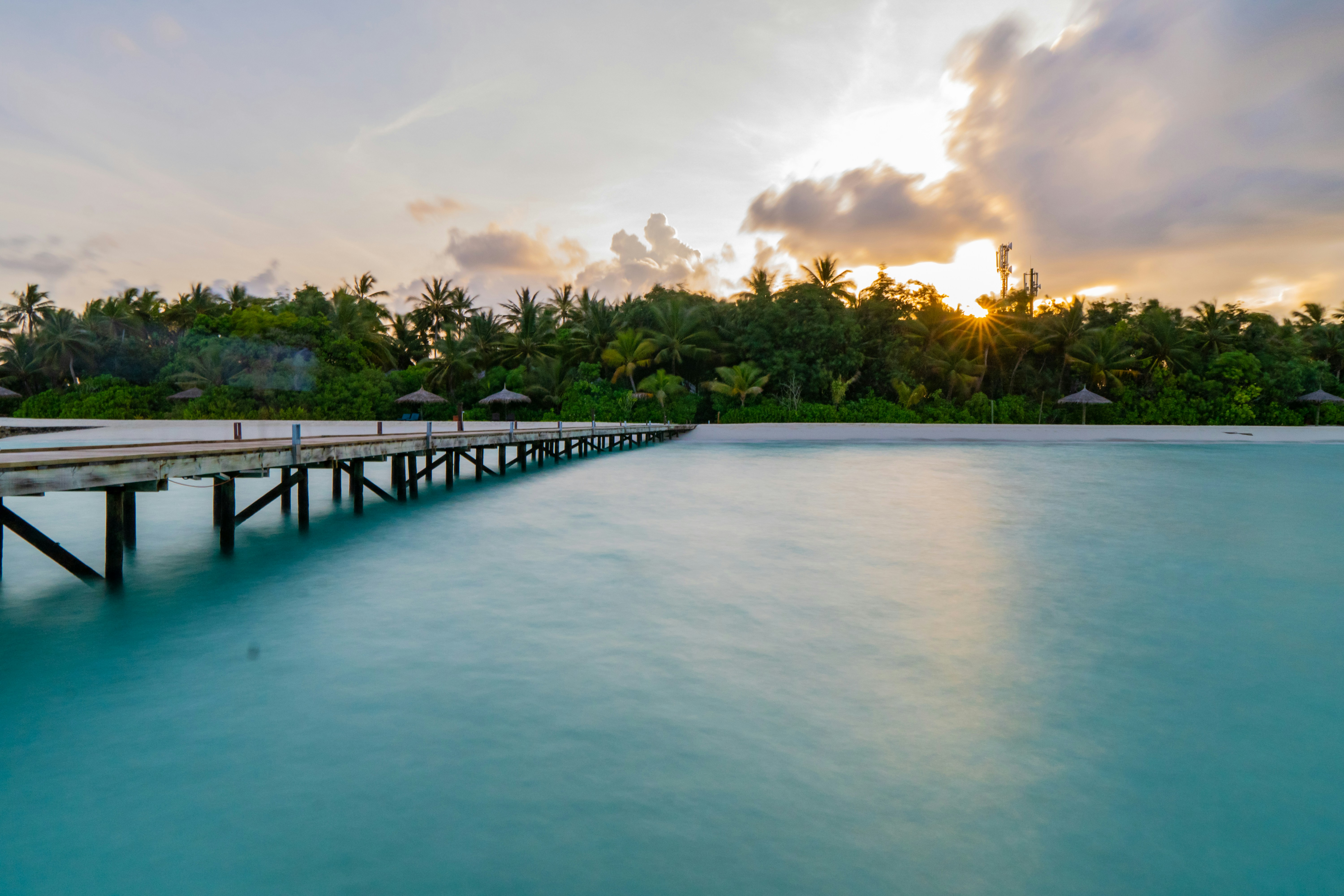 green trees near body of water under blue sky during daytime, 