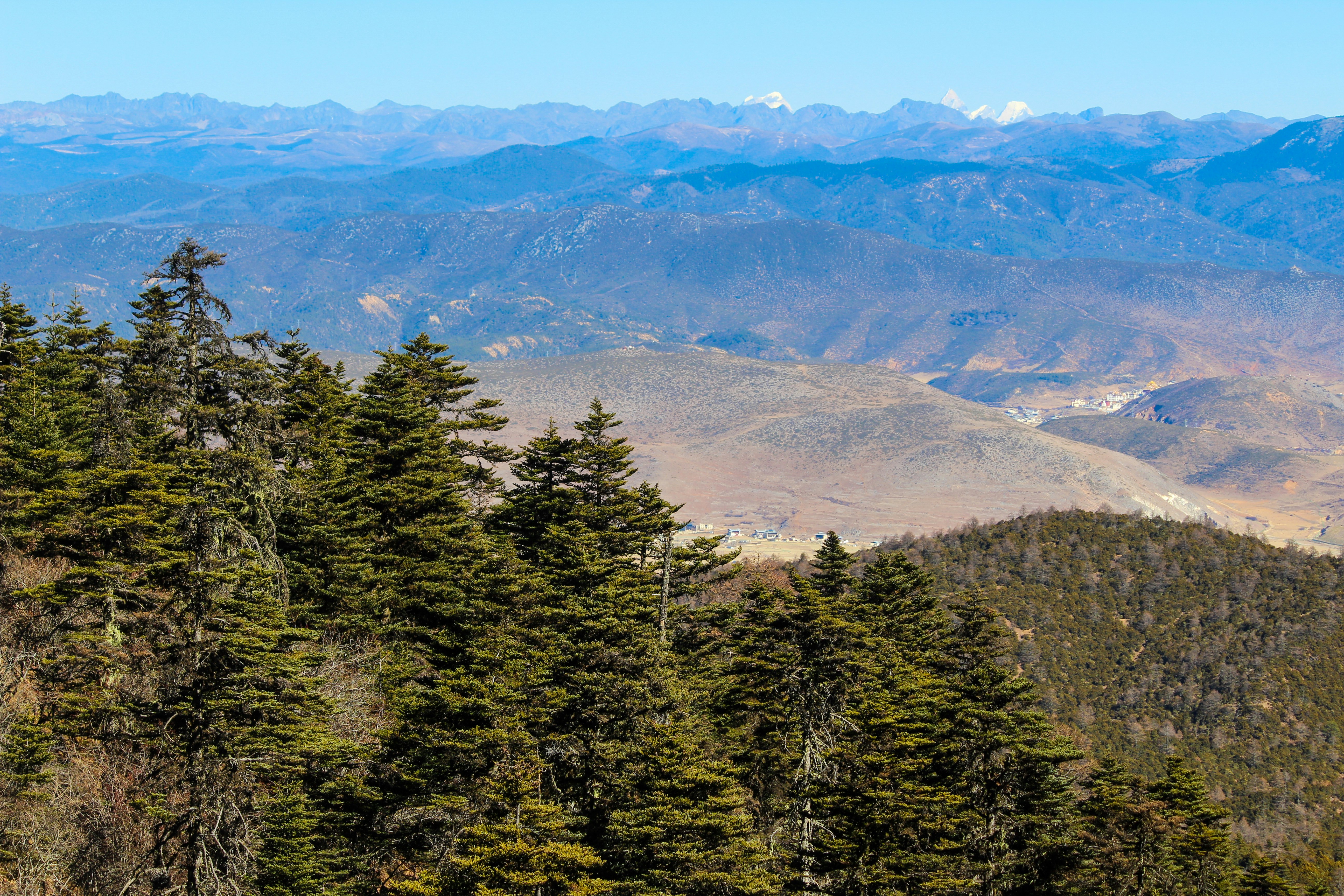 Photo by antovilardo