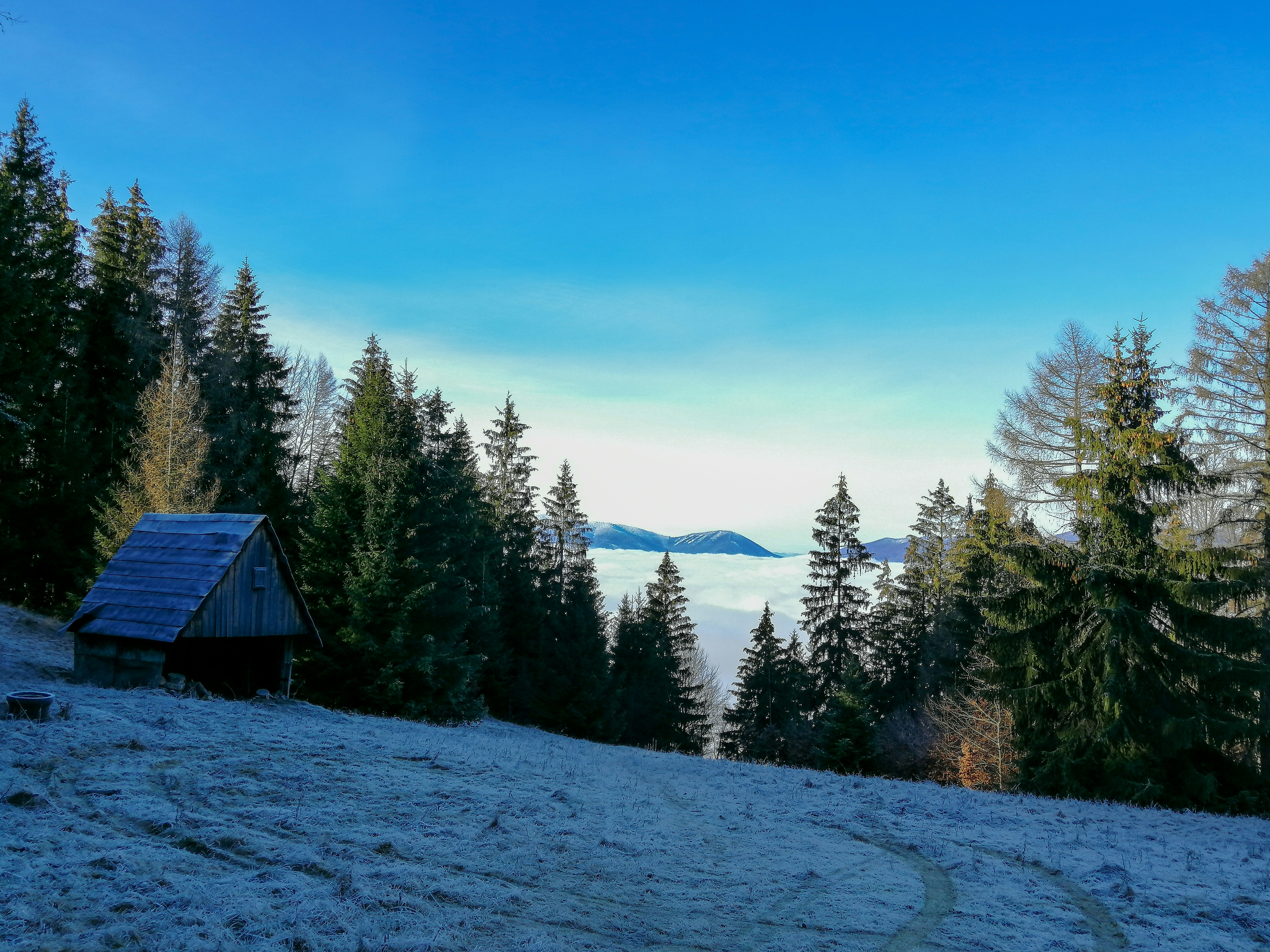 brown wooden house on snow covered ground near green trees under blue sky during daytime