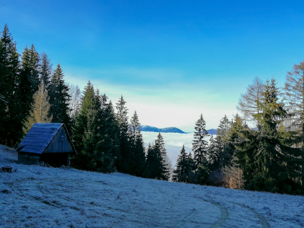 brown wooden house on snow covered ground near green trees under blue sky during daytime