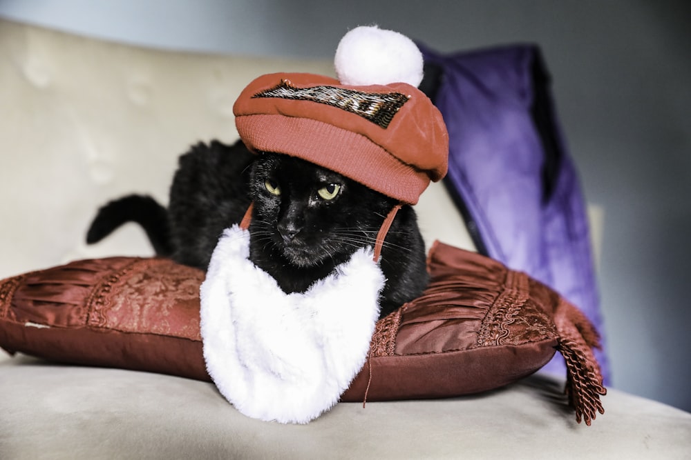 tuxedo cat wearing santa hat