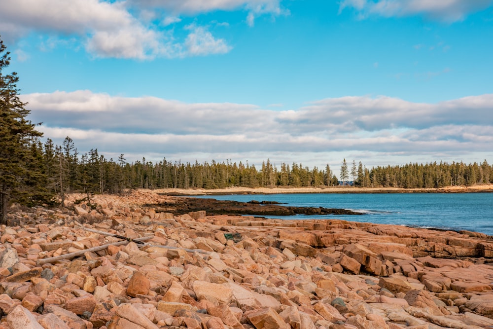 brown rocks near body of water under blue sky during daytime