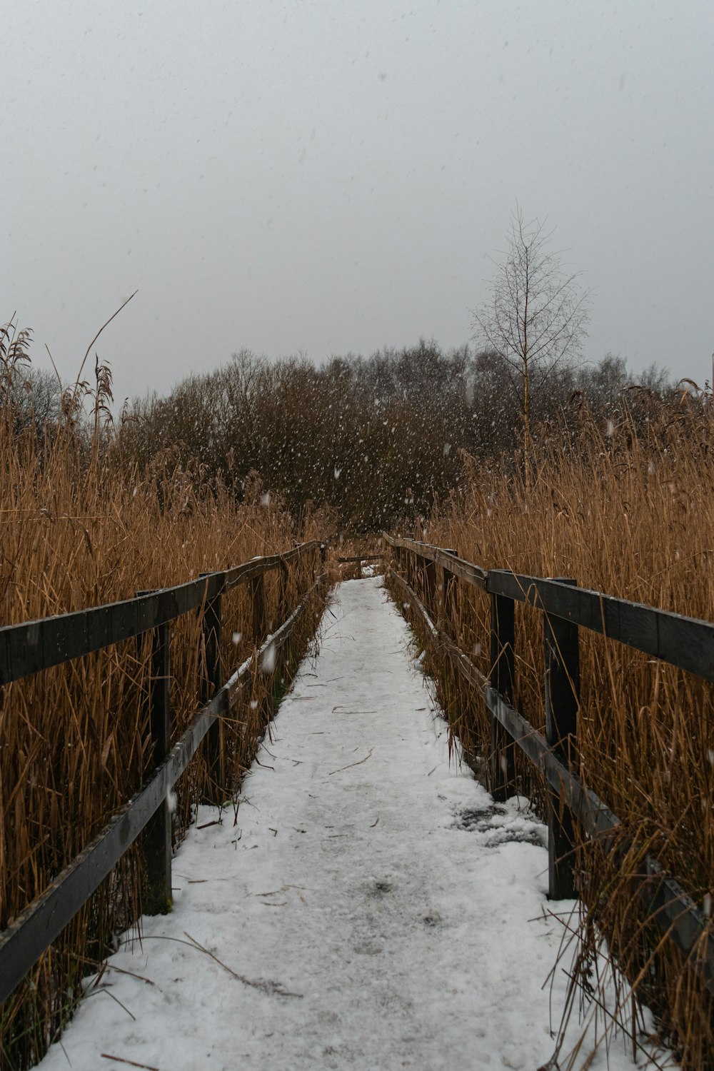 Puente de madera marrón sobre suelo cubierto de nieve