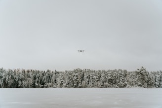 A snowy landscape with a dense forest in the background, covered in snow. A drone hovers in the pale gray sky above the frozen ground, creating a serene and vast winter scene.