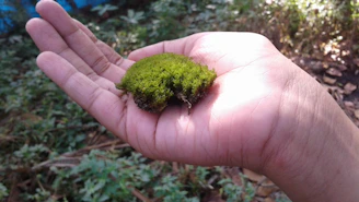 Close-up of a hand holding a lightweight, textured mycelium packaging piece against a dark forest green background.