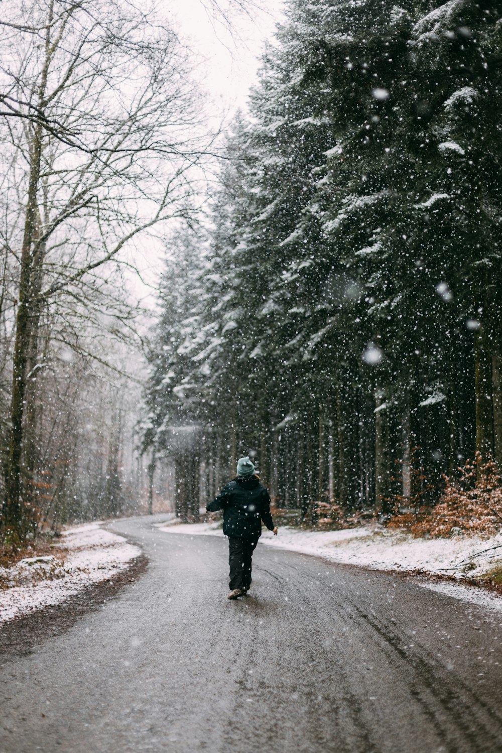 Person in schwarzer Jacke geht tagsüber auf der Straße zwischen schneebedeckten Bäumen