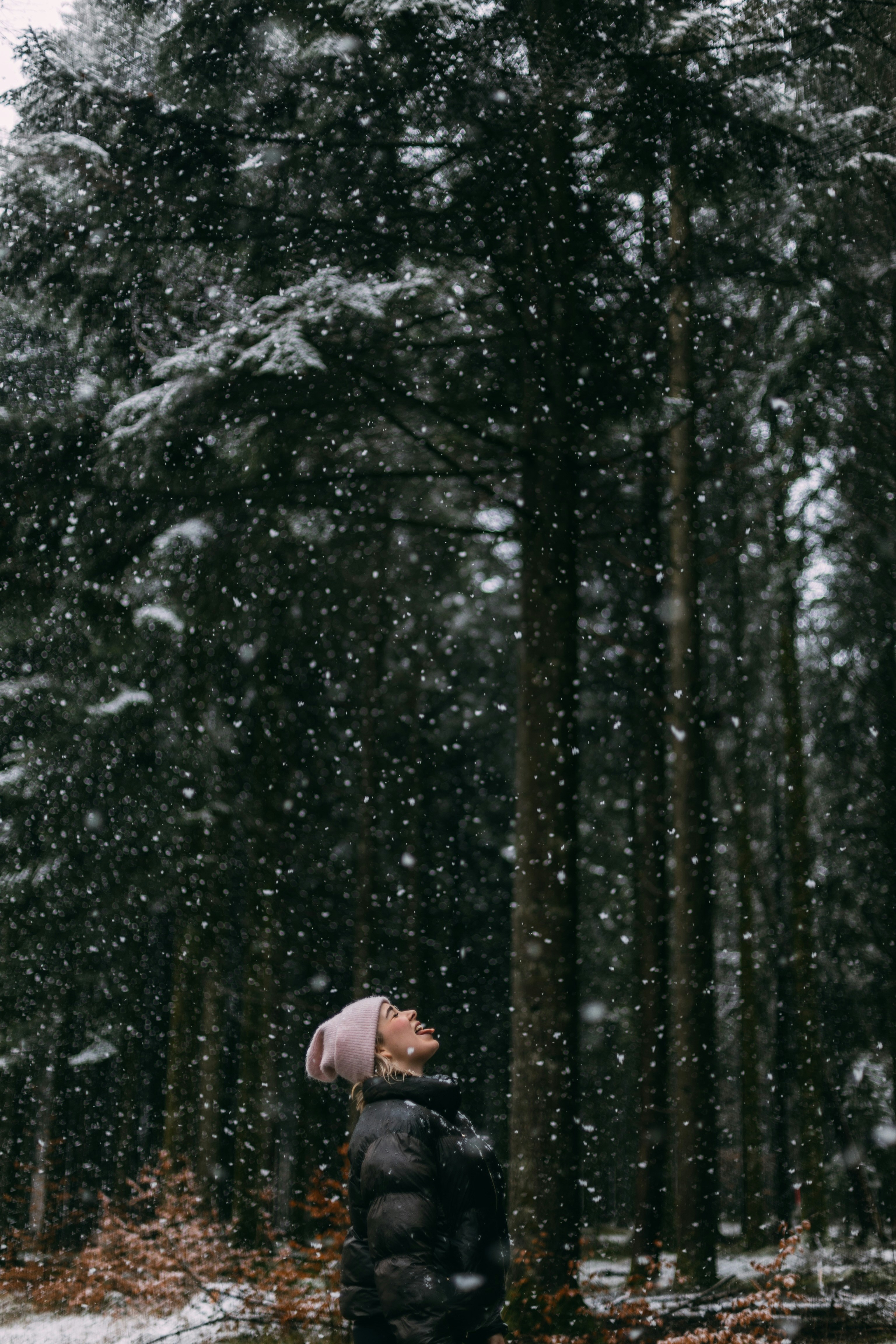 Photo by jonasdenil