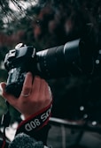 A hand holding a professional Canon DSLR camera equipped with a large zoom lens. The background is blurred with foliage and twigs hanging from above, creating a natural setting.