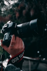 A hand holding a professional Canon DSLR camera equipped with a large zoom lens. The background is blurred with foliage and twigs hanging from above, creating a natural setting.