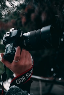 A hand holding a professional Canon DSLR camera equipped with a large zoom lens. The background is blurred with foliage and twigs hanging from above, creating a natural setting.