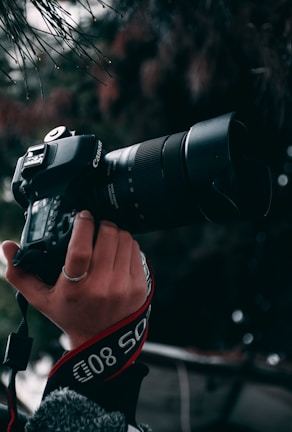 A hand holding a professional Canon DSLR camera equipped with a large zoom lens. The background is blurred with foliage and twigs hanging from above, creating a natural setting.