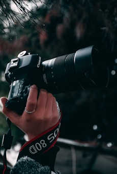 A hand holding a professional Canon DSLR camera equipped with a large zoom lens. The background is blurred with foliage and twigs hanging from above, creating a natural setting.