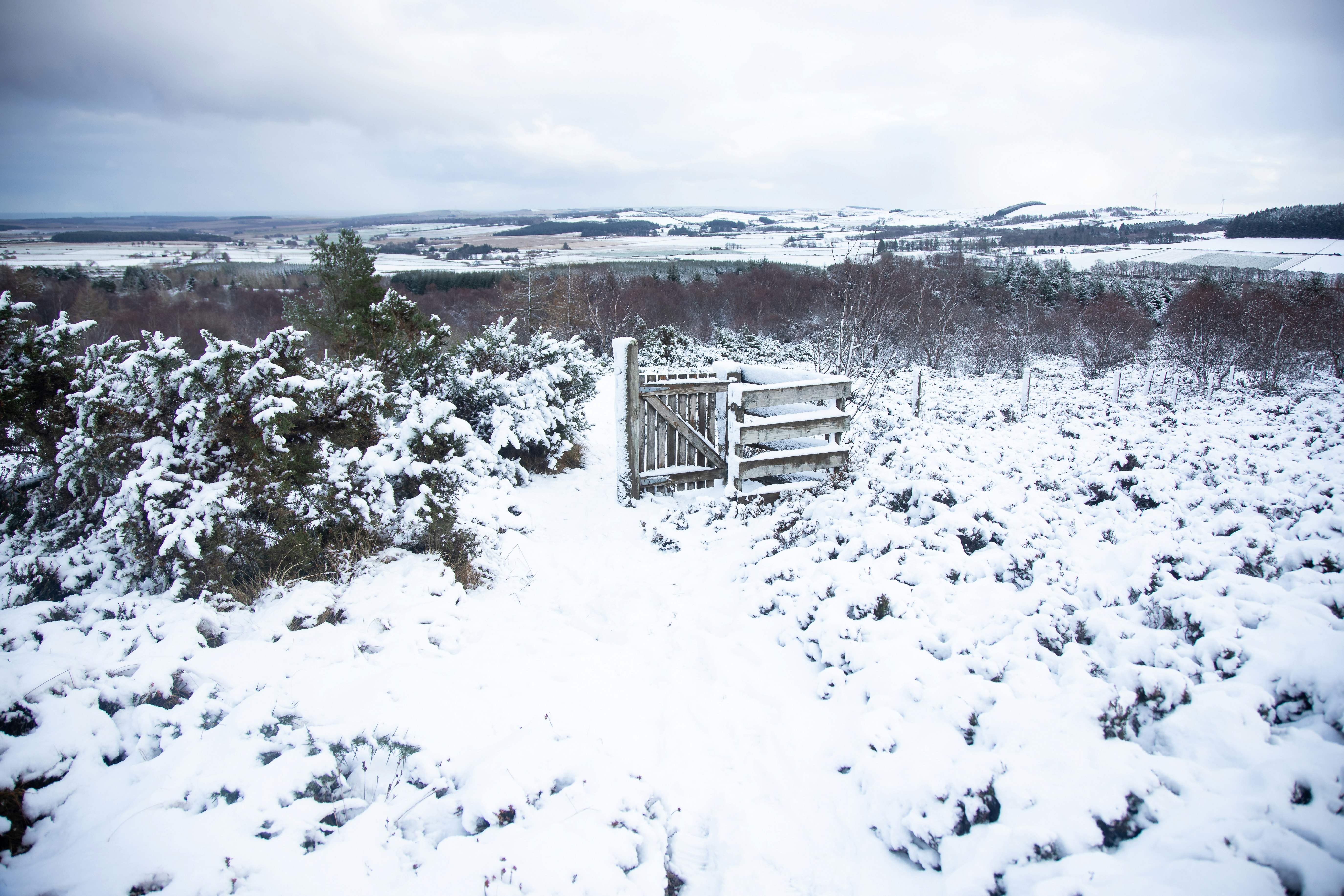 A gate on the way to Knock Hill, Huntly, Aberdeenshire in winter.