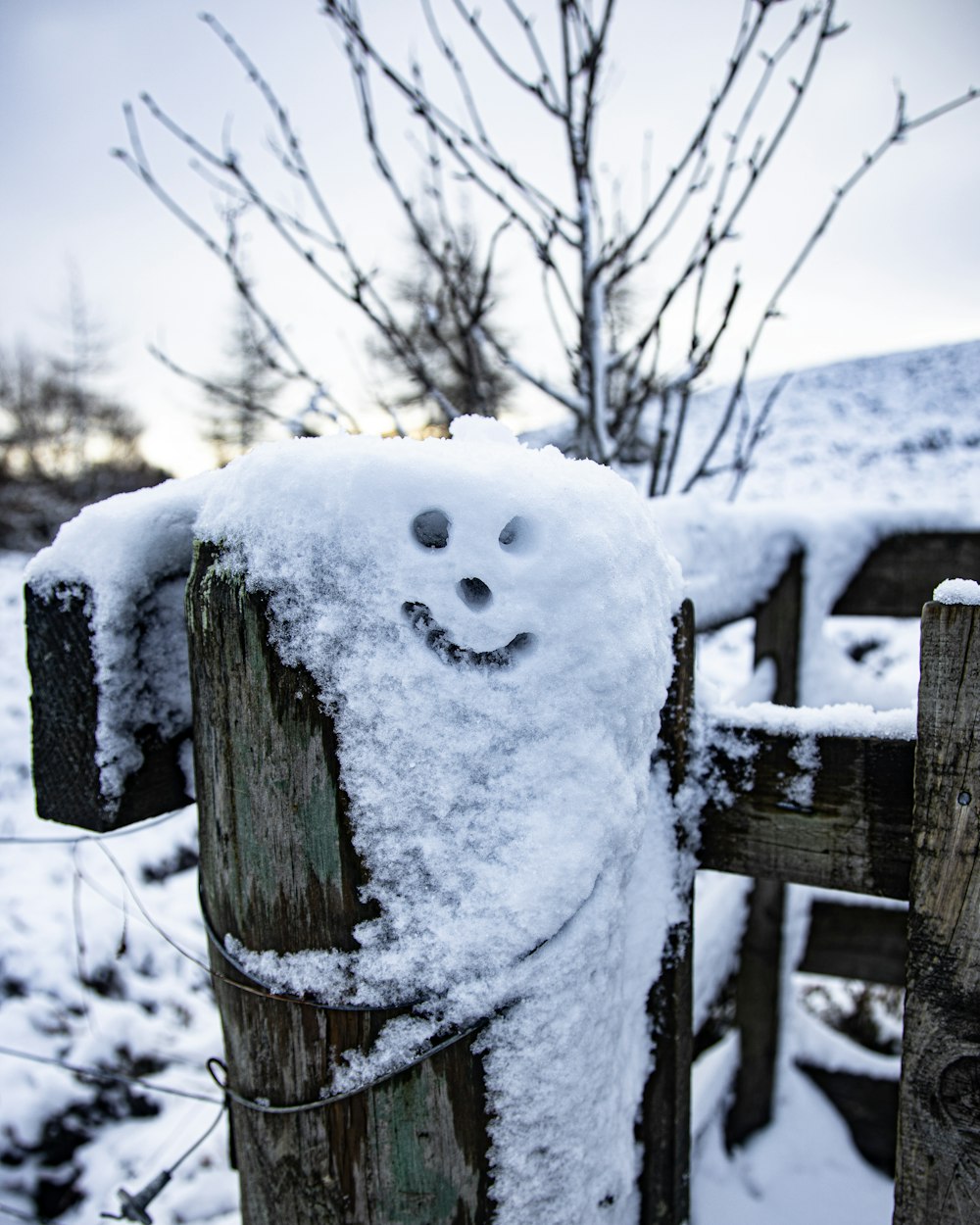 Schneebedeckter Baumstamm tagsüber