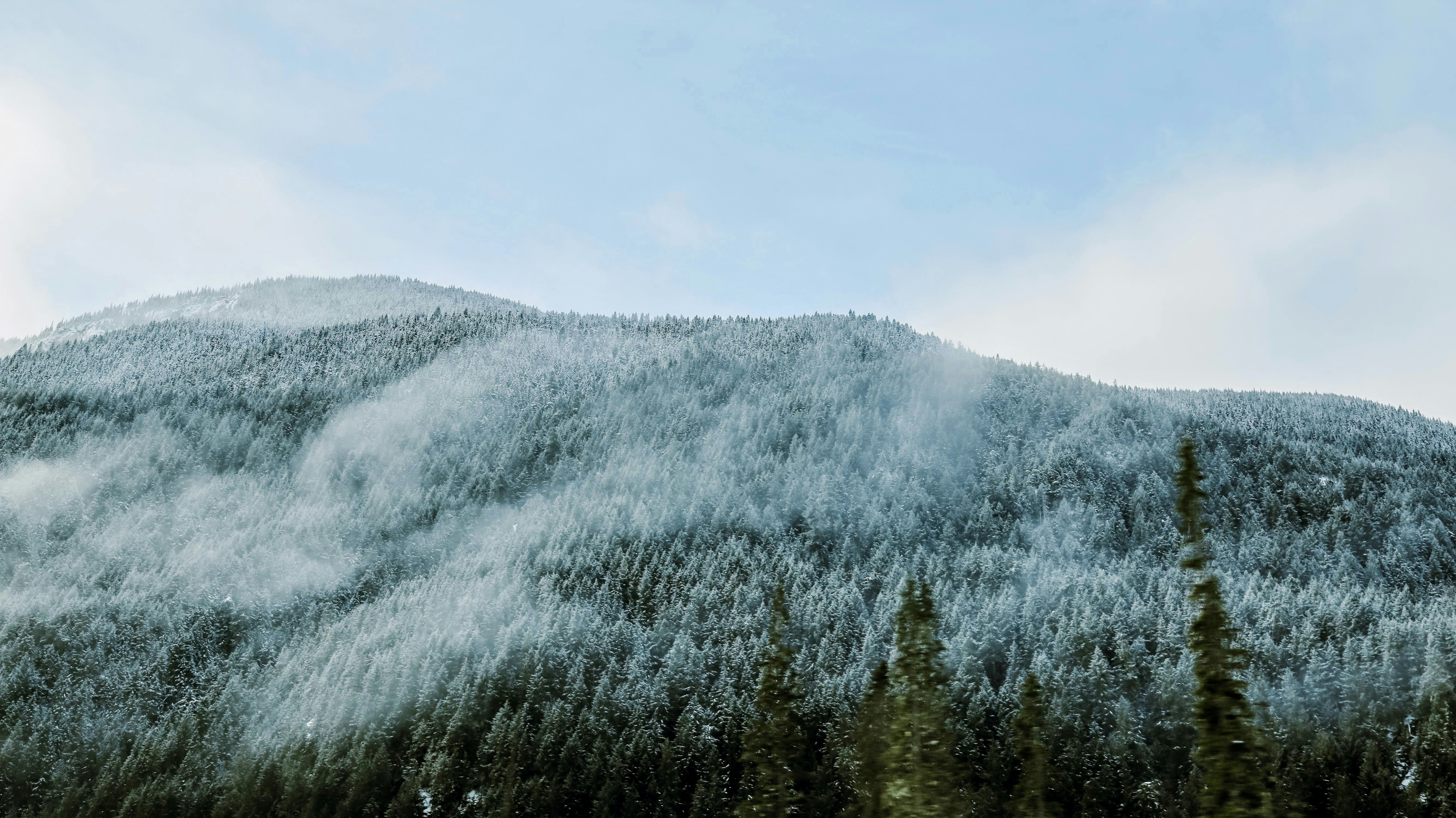 Photo by sofianeumann