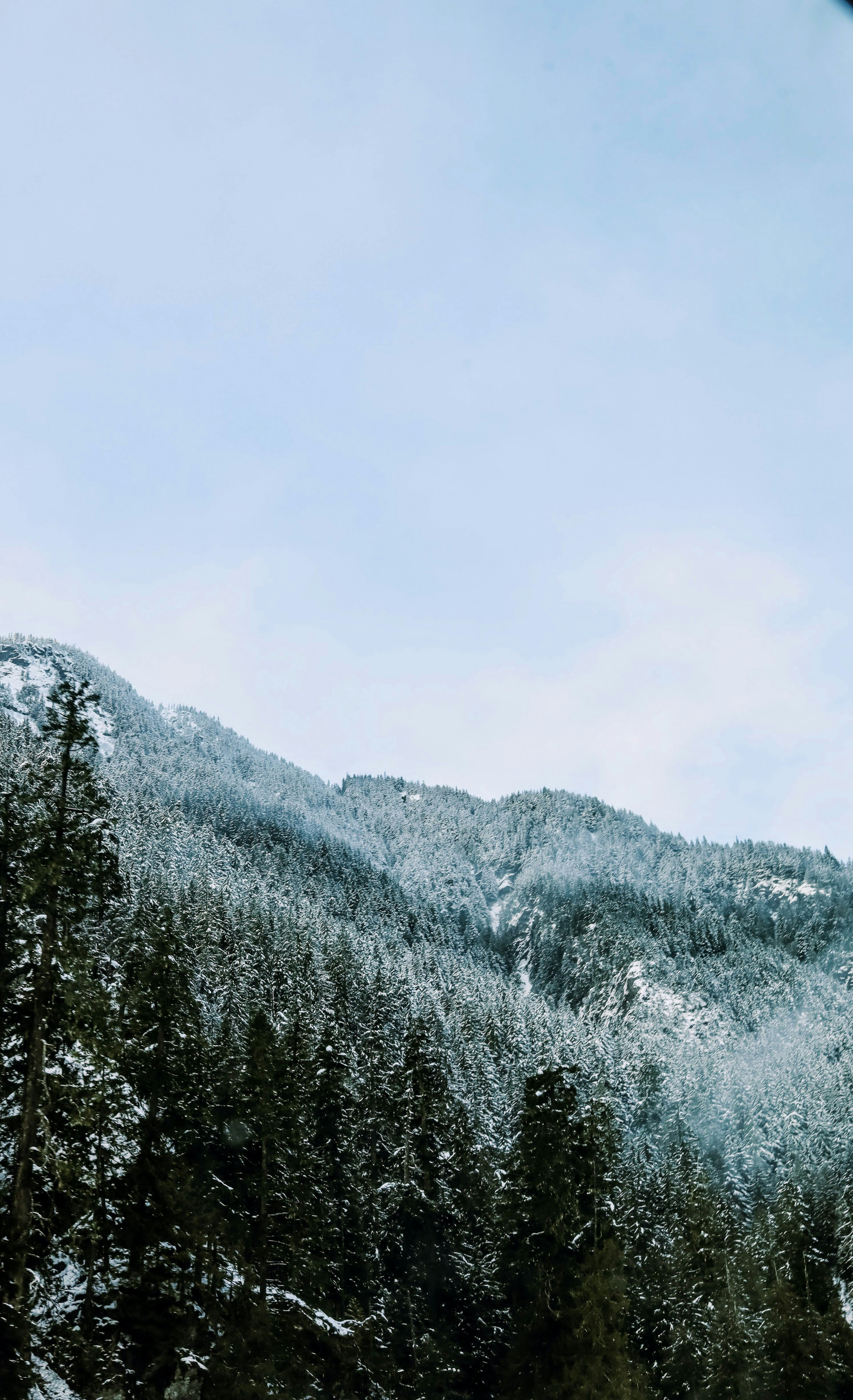 Photo by sofianeumann