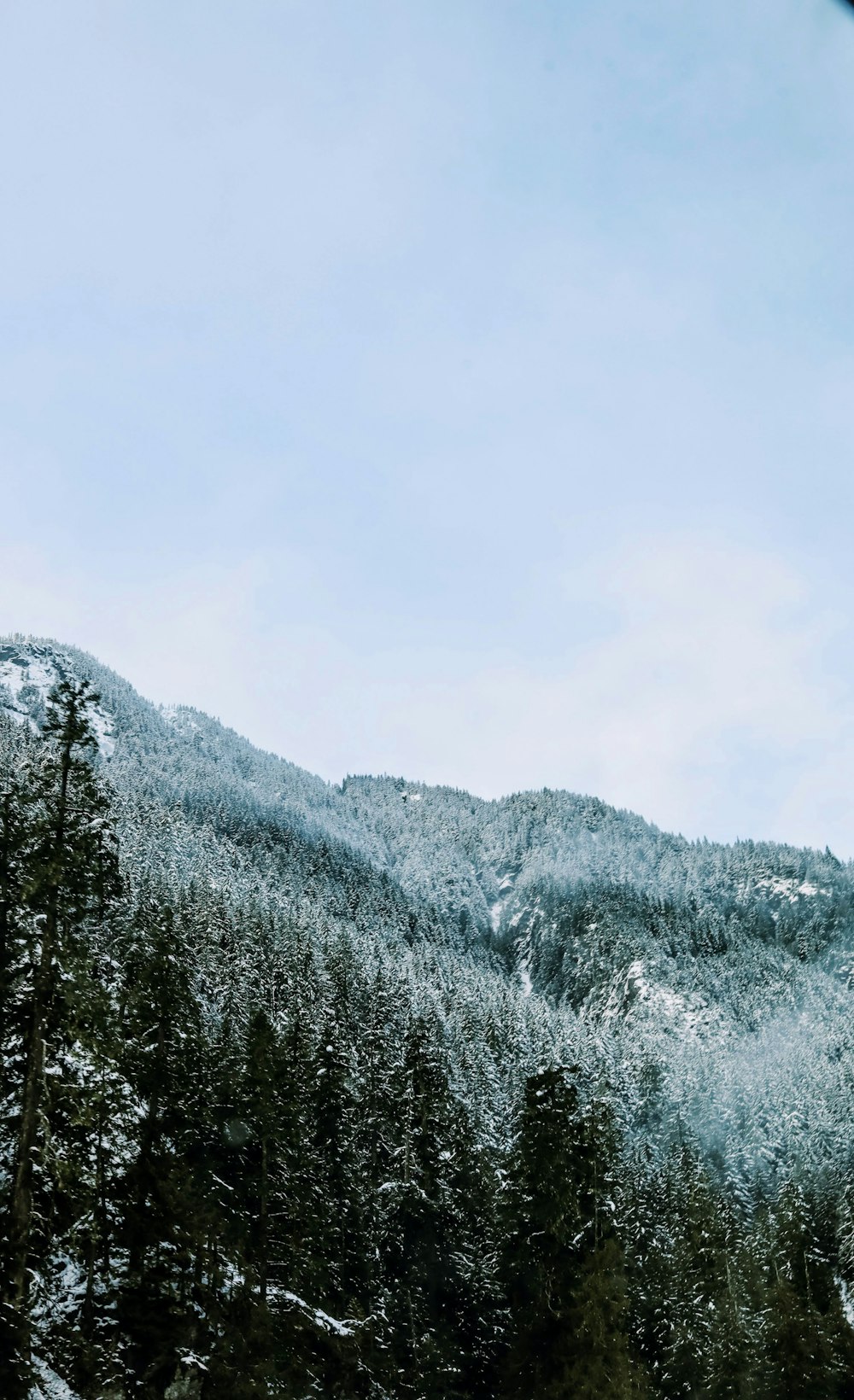 snow covered mountain during daytime