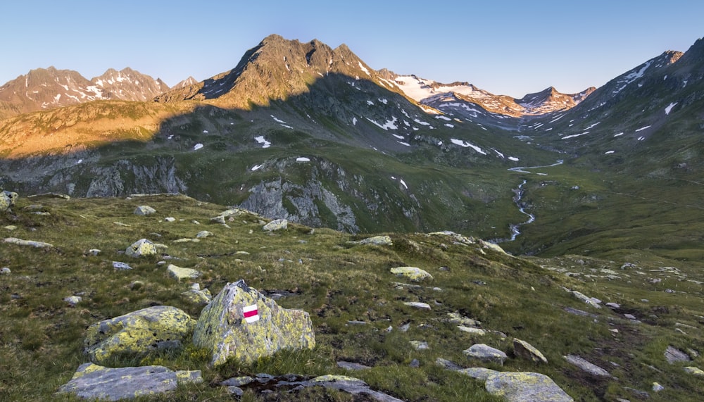 Montagnes vertes et brunes pendant la journée