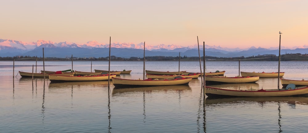 brown and white boat on body of water during daytime