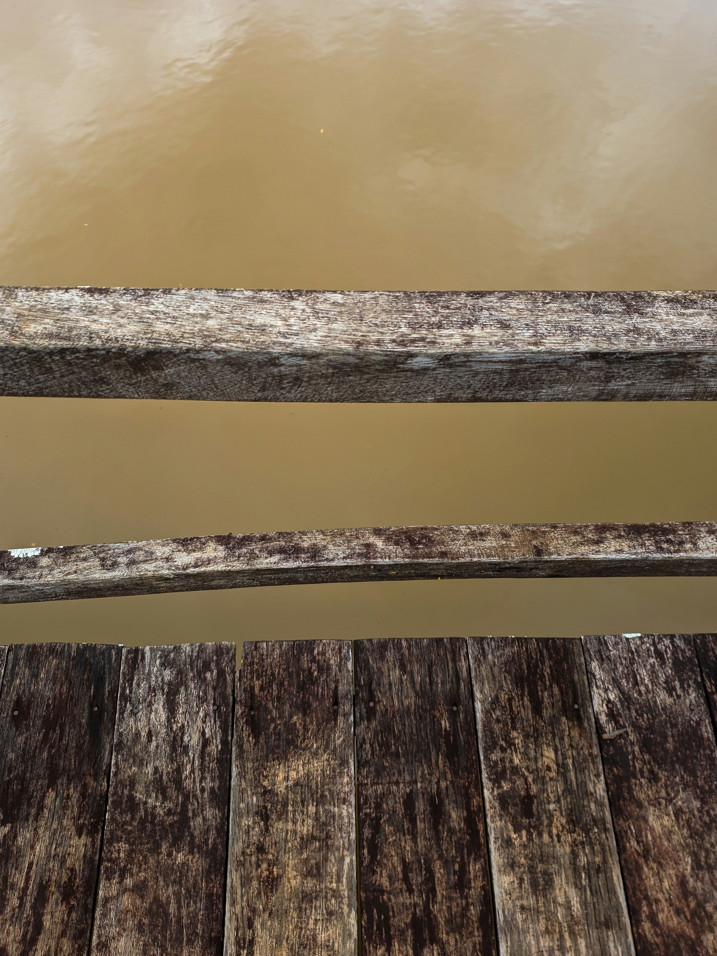 Wood bridge portrait