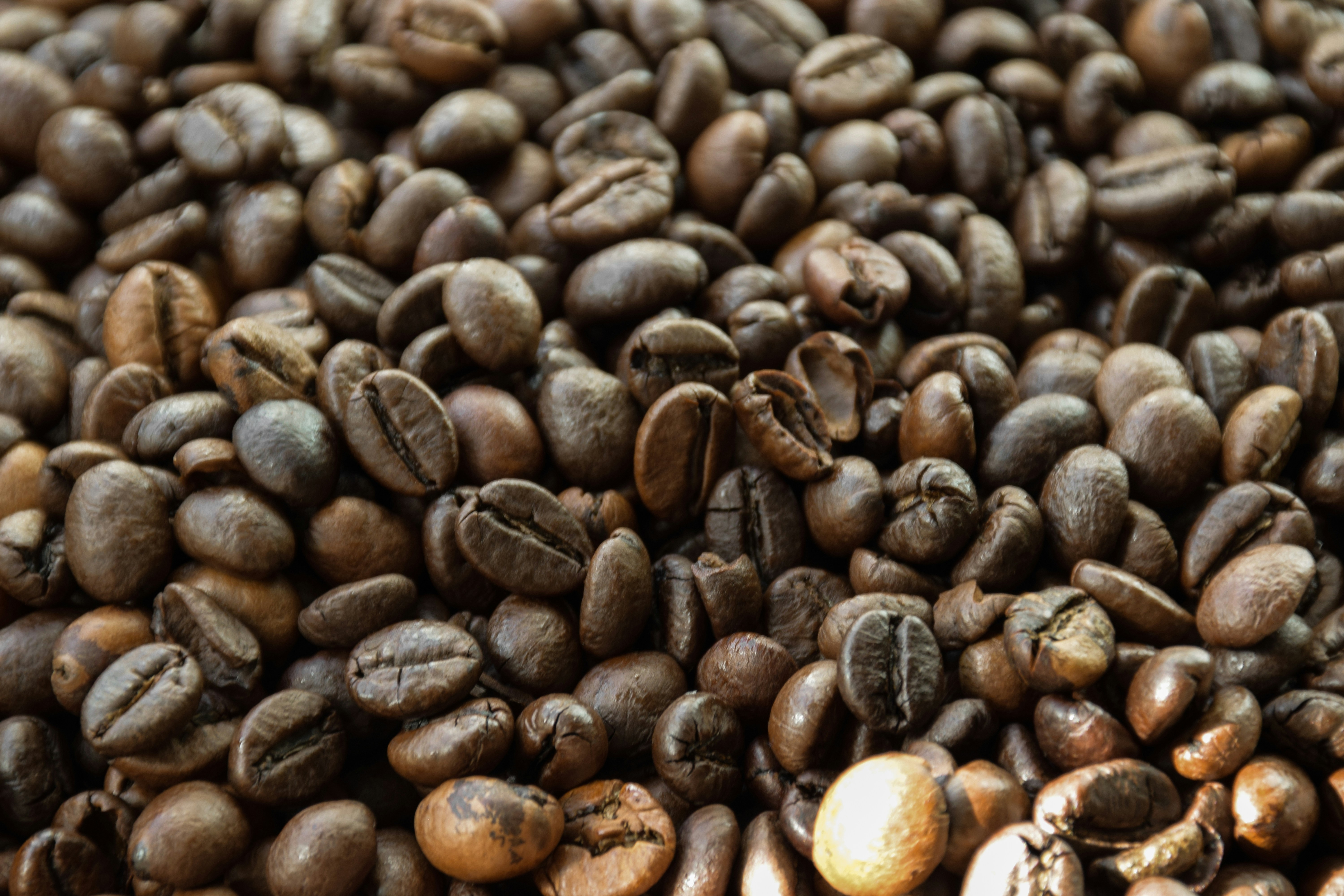 Photo by catiaclimovich