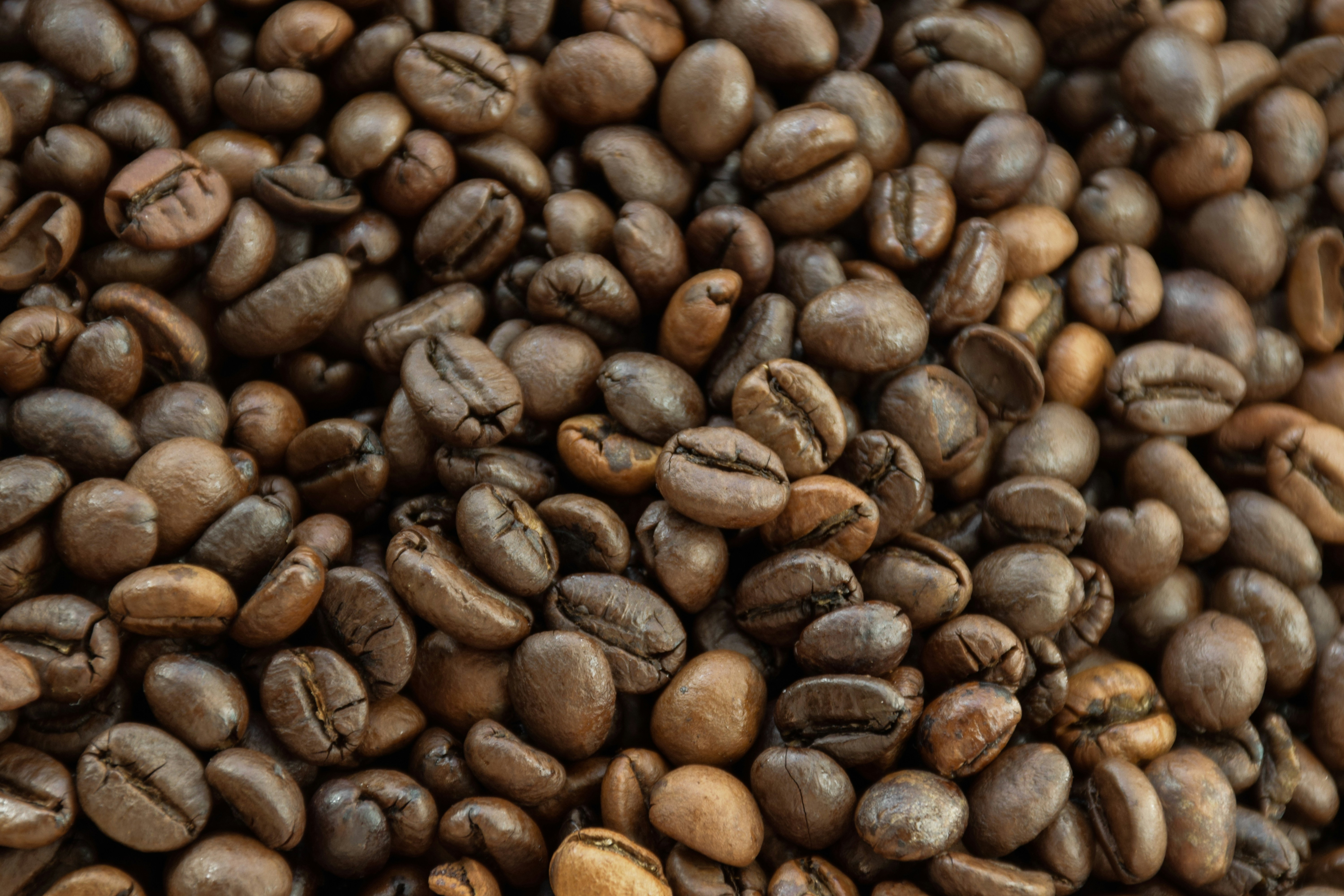 Photo by catiaclimovich