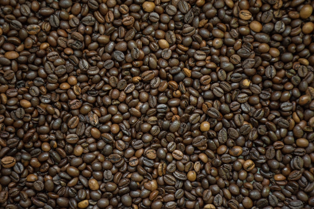 brown and black coffee beans