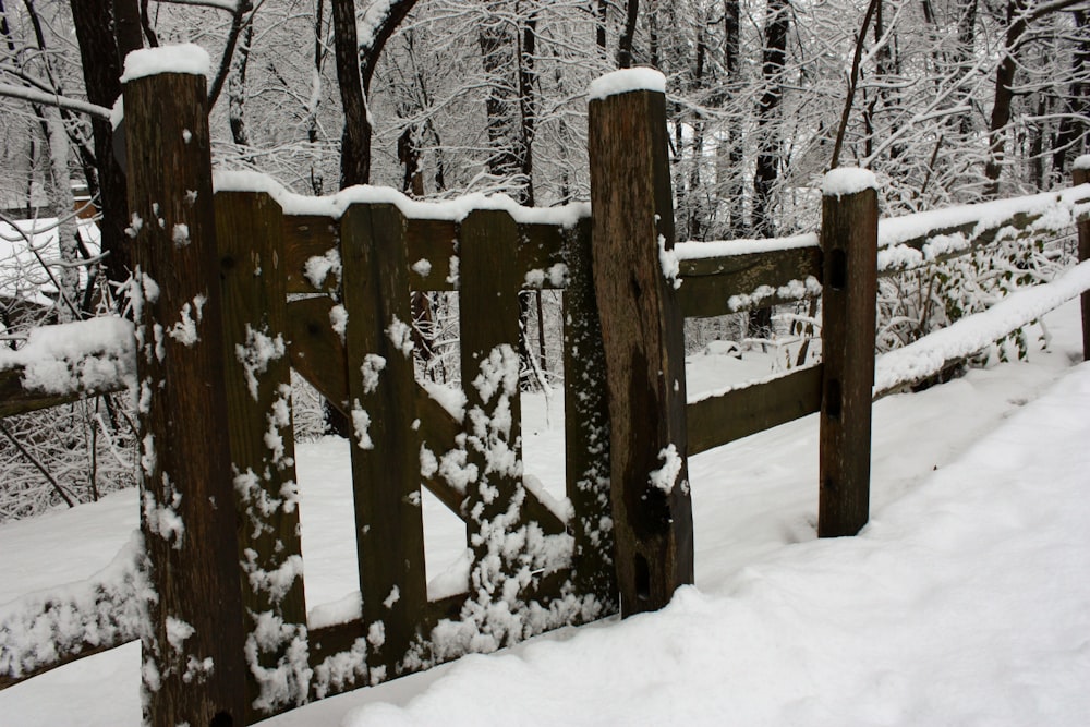 snow covered wooden fence and trees